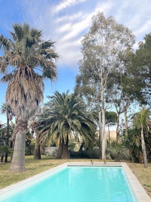 Villa Avec Magnifique Piscine Et Grand Jardin, A 2 Pas Du Golf Et De La Plage Saint-Cyprien  Exterior foto