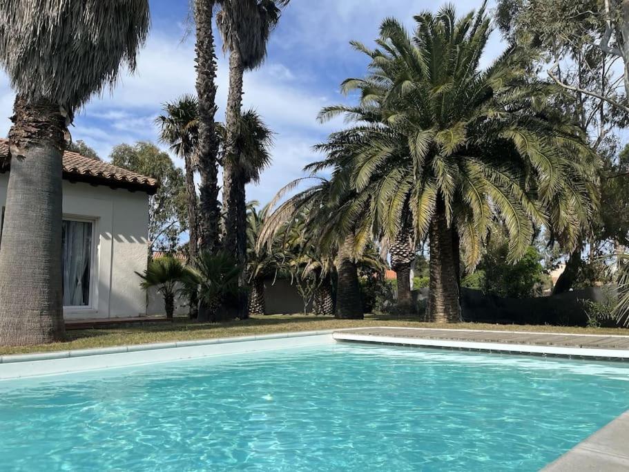 Villa Avec Magnifique Piscine Et Grand Jardin, A 2 Pas Du Golf Et De La Plage Saint-Cyprien  Exterior foto