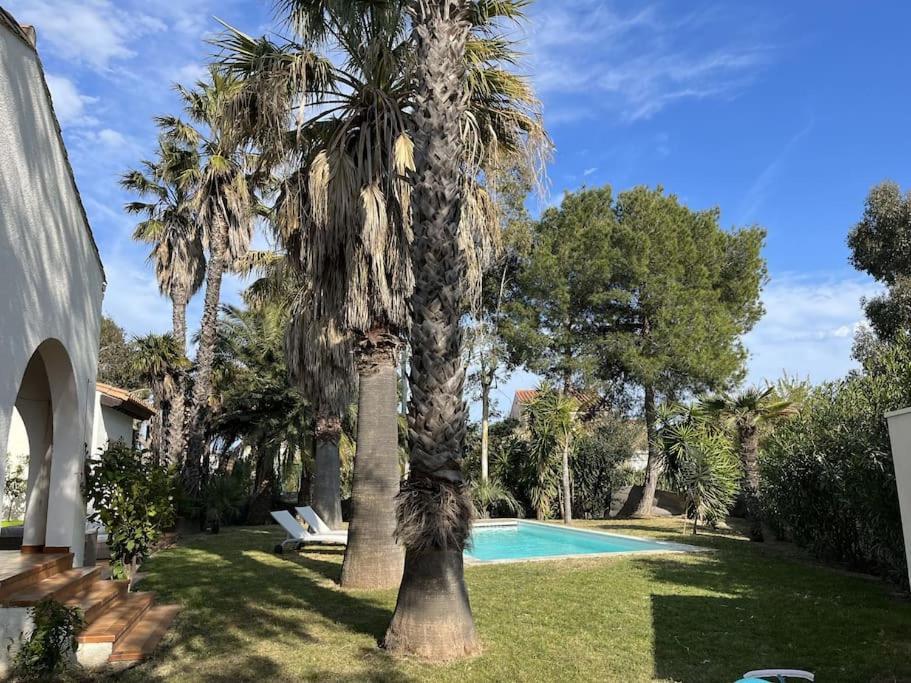 Villa Avec Magnifique Piscine Et Grand Jardin, A 2 Pas Du Golf Et De La Plage Saint-Cyprien  Exterior foto